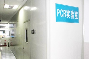 PCR實驗室設計規(guī)劃，從0開始
