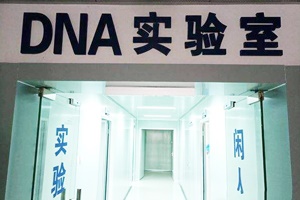 【正海新知】基層公安機(jī)關(guān)DNA實(shí)驗(yàn)室建設(shè)